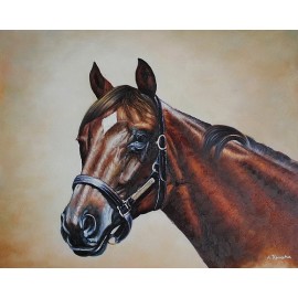 Koń, portret (50x60cm)