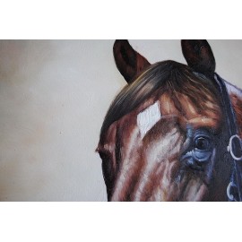 Koń, portret (50x60cm)