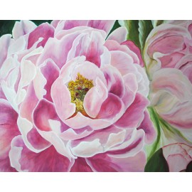 Peonie, kwiaty (60x80cm)