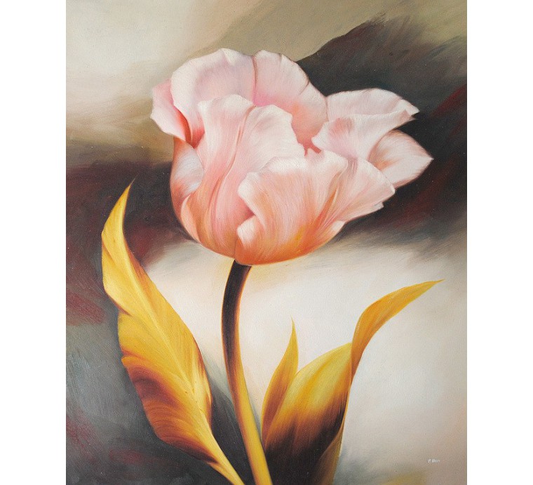 Tulipan (50x60cm)