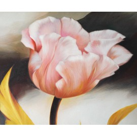 Tulipan (50x60cm)